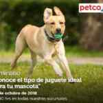 Seminarios Petco gratuitos "juguete ideal para tu mascota" ansiedad por separación y más