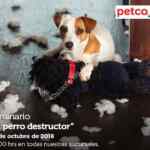 Seminarios gratuitos Petco "El Perro Destructor", "Rascadores y muebles para gatos" y más hoy domingo