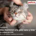 En Petco Seminarios gratuitos: "Cómo mantener a tu gato feliz" y "arena Naturally Fresh"