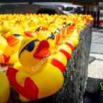 Promoción Antara de patito de hule de regalo en compras de $50 o más
