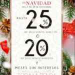 Promoción The Home Store Secretos de Navidad: Hasta 25% de descuento ó 20% de descuento y msi