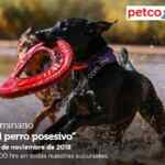 En Petco seminarios gratuitos "El perro posesivo", "conoce los peces goldfish y koi" y "juguetes Go Dog" hoy domingo