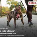 En Petco seminarios gratuitos "no más jalones" y "conoce a los geckos" hoy domingo