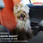 En Petco seminarios gratis "viajando seguro", "ansiedad por separación" y "nutrición de cuyos" hoy domingo