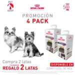 Promoción de Navidad Royal Canin: 4x2 en latas y bote conmemorativo de regalo