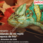 En Petco seminarios gratis “Cuidando de mi reptil en época de frío” y “Festividades tranquilas y seguras” hoy domingo 9 de diciembre