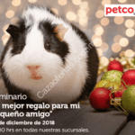 En Petco seminario gratis “El mejor regalo para mi pequeño amigo” hoy domingo