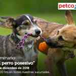 En Petco seminarios gratis "El perro posesivo" y "peces tropicales y el invierno" hoy domingo