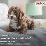 En Petco seminarios gratis "Aprendiendo a ir al baño" e "importancia en la calidad del agua en el acuario"