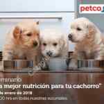 En Petco Seminarios Gratis para mascotas este 5 y 6 de enero 2019