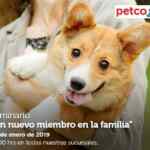 Seminario gratuito Petco "Un nuevo miembro en la familia" hoy sábado a las 12:00