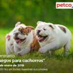 Sminarios Petco hoy domingo: "Juegos para cachorros" y "Alimentación avanzada para tortugas"