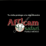 Promoción Africam Safari: Dona un arbolito y recibe un 2x1 en la entrada