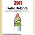 En Oxxo 2x1 en dulces Pelón Pelo Rico y Pelonetes