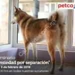 Seminarios Petco gratuitos para el sábado 2 y domingo 3 de febrero 2019