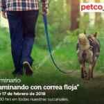 Seminarios Petco gratuitos de fin de semana: "Caminando con correa floja" y "cómo mantener a tu gato sano y feliz"