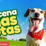 Soriana: Quincena de Mascota febrero 2019