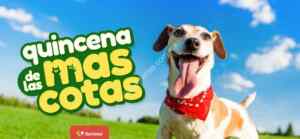 Imagen de la promo