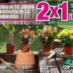 En Home Depot 2x1 en plantas y macetas seleccionadas