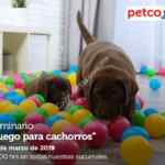 Seminarios Petco Fin de Semana: "alimentos que protegen la piel y el pelo de tu mascota", "juegos para cachorros" y más