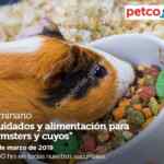 Seminarios gratuitos Petco fin de semana: Viajando con mi perro, cuidados y alimentación para hamster y cuyos y más