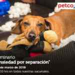 Seminarios Petco fin de semana: "viajando seguro", "ansiedad de separación" e "importancia en calidad del agua en el acuario"