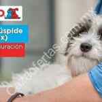 Promoción Petco la Cúspide de $100 en tarjeta de regalo a los primeros 100 en llegar por inauguración
