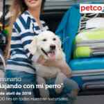 Seminarios Petco gratuitos fin de semana: "Viajando seguro con tu perro" y más