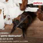 Seminarios gratuitos Petco este fin de semana: El perro destructor, nutrición en pequeños roedores y más