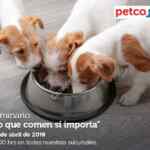 Seminarios Petco fin de semana: "Lo que comen sí importa" y "aprendiendo a ir al baño"