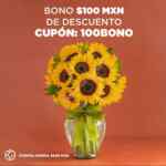 Cupón Envíaflores de $100 de descuento en compras de $600