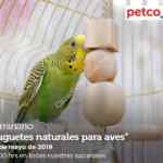 Seminarios Petco Fin de semana: "Importancia de muebles y rascadores para gato", "ansiedad por separación" y más