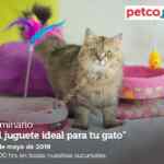 Seminarios Petco fin de semana "Juguete ideal para tu gato" "no más brincos" y "alimento natural para reptiles"