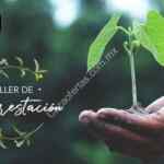 Taller de Reforestación Gratis cortesía de la cafetería la Borra del Café
