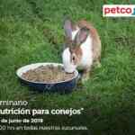 Seminarios Petco fin de semana: "Nutrición para mascota senior", "Aprendiendo a ir al baño" y "nutrición para conejos"