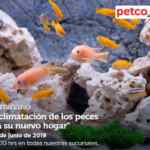 Seminarios Petco de fin de semana: "suplementos para mascota senior", "no más brincos" y "aclimatación de peces"