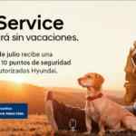 Promoción Hyundai Before Service: Inspección Gratis de cualquier vehículo + plato o juguete para perro