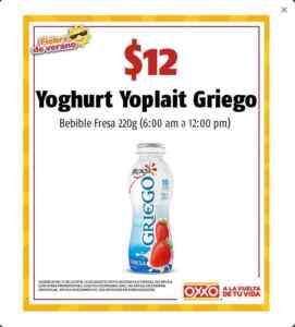 Ofertas y promociones Oxxo del 11 de julio al 14 de agosto 2019