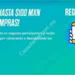 Promoción Paypal Essentials: hasta $100 en cupones para usuarios que realicen su primera compra en las siguientes 24 horas