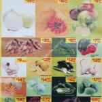 Ofertas Chedraui Martimiércoles frutas y verduras 23 y 24 de julio 2019