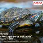 Seminarios Petco Fin de Semana: "viajando seguros", "perro posesivo" y "tortugas y sus cuidados"