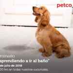 Seminarios Petco domingo 28 de julio: Aprendiendo a ir al baño y camas absorbentes para pequeños mamíferos
