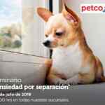Seminarios Petco fin de semana: "Alimento perfecto para tu gato", "Ansiedad por separación" y "peces comunitarios"