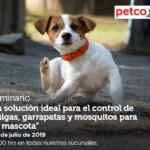 Seminarios Petco Fin de Semana "Solución para pulgas y garrapatas", "llevando a casa el perro adoptado" y más