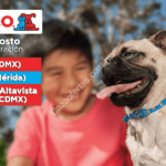Promoción Petco Coapa, Petco Altavista y Petco Harbor Apertura: Tarjetas de $100 de regalo para los primeros 100 el sábado 10 de agosto