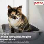 Seminarios Petco fin de semana: "la mejor arena para tu gato", "no más brincos" y "alimentos pequeños mamíferos"