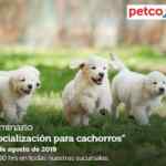 Seminarios Petco gratuitos "cómo elegir el mejor collar para perro", "socialización para cachorros" y "alimentos para peces"