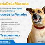 Promoción Walmart Feria de la Mascota 2019: entrenamiento, veterinario y grooming Gratis para perros