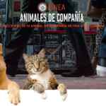 Locatel Mascotas Animales de Compañía: registro oficial de tu mascota y asesoría veterinaria Gratis al 5658 1111