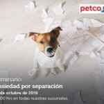 En Petco seminarios gratis para mascotas este 12 y 13 de octubre